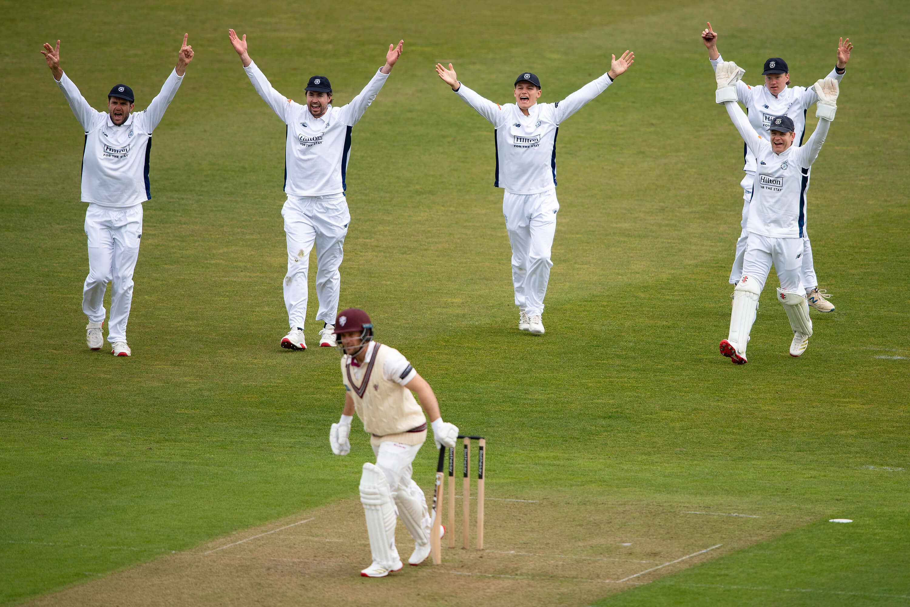 Keeper and slips appeal in unison against Somerset's Sean Dickson