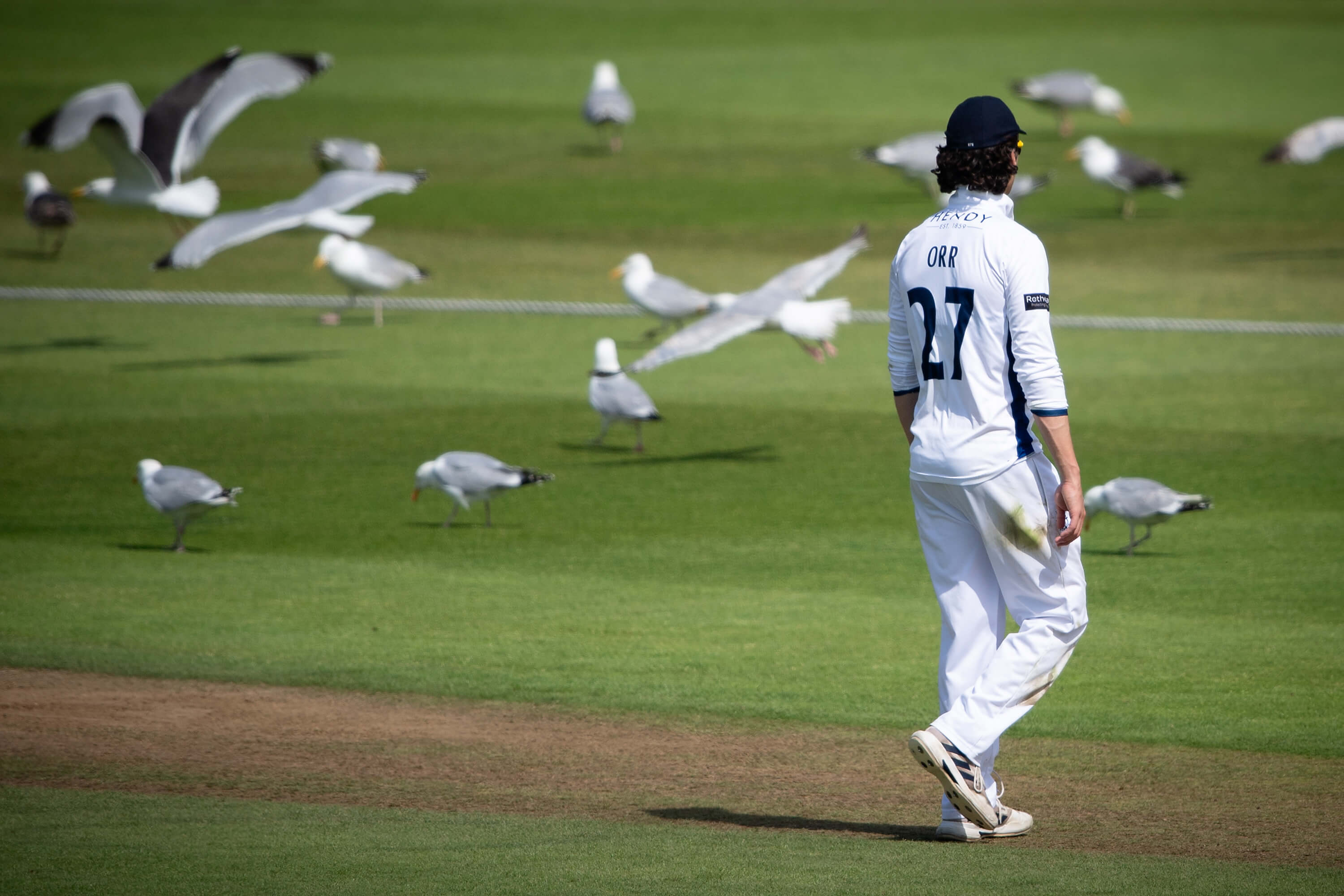 Ali Orr looks on as a flock of seagulls descend on the outfield at Utilita Bowl